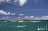 Kahuku Makahoa Point