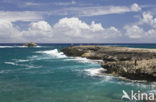 Kahuku Makahoa Point