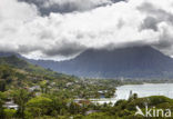 Kaneohe Bay