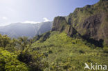 Kepaniwai County Park