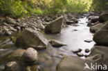 Kepaniwai County Park