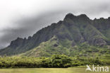 Koolau Ranch