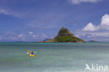 Kualoa Beach Park