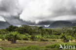 Kualoa Ranch