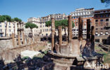 Largo di Torre Argentina