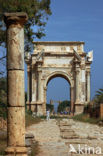 Leptis Magna