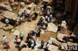 Leptis Magna