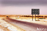 Libyan Desert