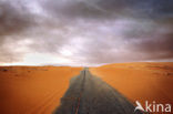 Libyan Desert