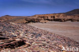 Libyan Desert