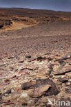 Libyan Desert