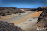 Libyan Desert