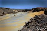 Libyan Desert