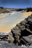 Libyan Desert