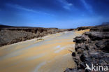 Libyan Desert