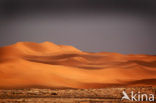 Libyan Desert