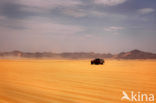 Libyan Desert