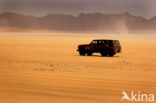 Libyan Desert