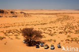 Libyan Desert