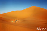 Libyan Desert