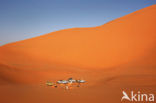 Libyan Desert