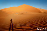 Libyan Desert