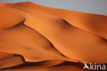 Libyan Desert