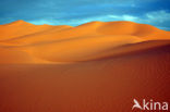 Libyan Desert