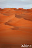 Libyan Desert