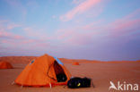 Libyan Desert