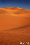 Libyan Desert