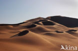 Libyan Desert