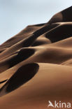 Libyan Desert