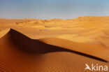 Libyan Desert