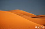 Libyan Desert