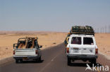 Libyan Desert