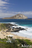 Makapuu Beach