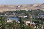 Nile