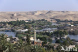 Nile