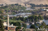 Nile