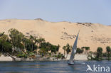 Nile