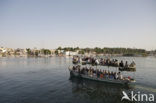 Nile