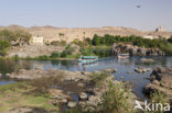 Nile