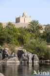 Nile