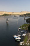 Nile