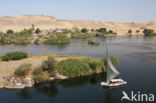 Nile
