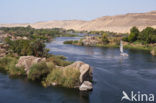 Nile