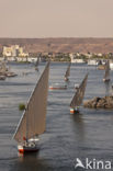 Nile