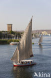 Nile