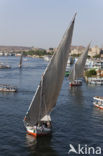 Nile